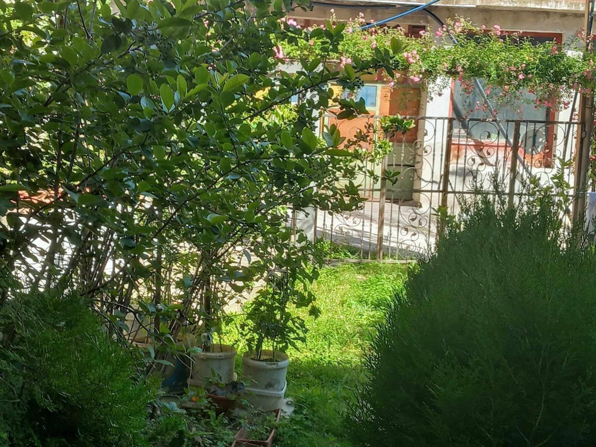 סראייבו Apartman Turkana 1 מראה חיצוני תמונה